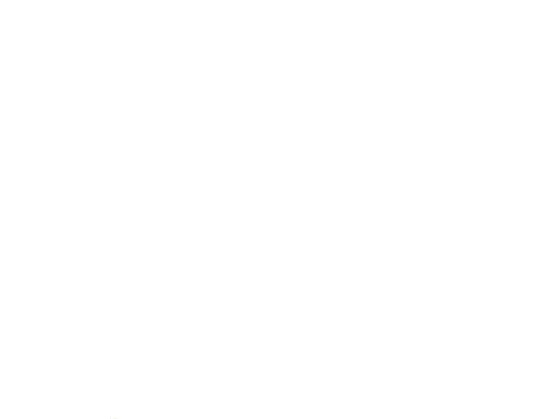 Fiddler Den haag.png